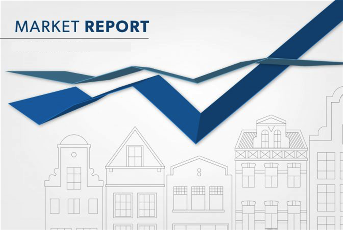 The RE MAX Hallmark Report 2020